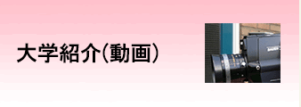 大学紹介
